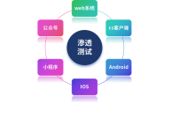 软件安全测试报告